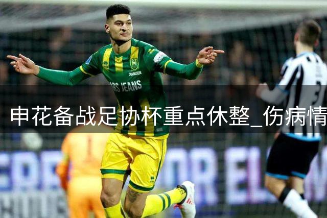 申花备战足协杯重点休整 伤病情况影响排兵布阵