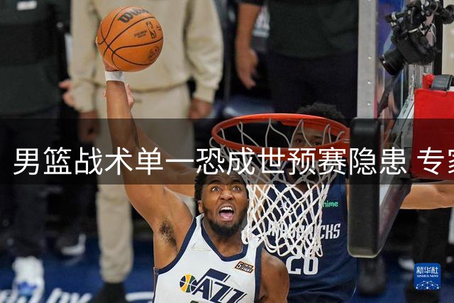 男篮战术单一恐成世预赛隐患 专家呼吁求变
