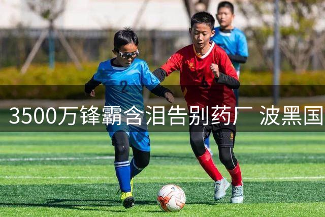 3500万锋霸含泪告别药厂 波黑国脚致谢球迷奔赴尤文