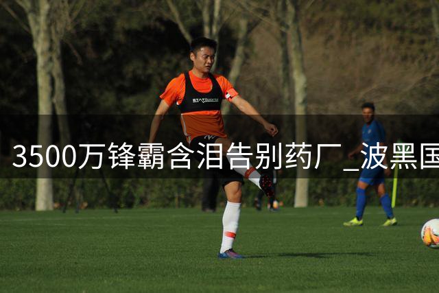 3500万锋霸含泪告别药厂 波黑国脚致谢球迷奔赴尤文